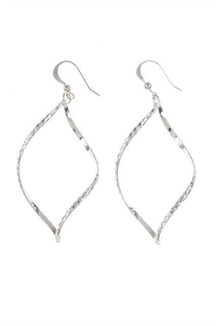 Beauty Silver Earrings